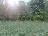 Gražioje ir ramioje vietoje Maciuičiuose - nuotraukos Nr. 10