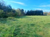 Gražioje ir ramioje vietoje Maciuičiuose - nuotraukos Nr. 13