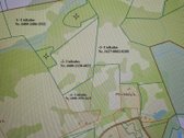 Parduodamas daugiamečių pievų 7 sklypų masyvas - nuotraukos Nr. 3