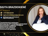 Turite svajonių kurti savo verslą, bet - nuotraukos Nr. 43