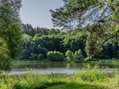 Birštono kurorte, šimtąmečių ąžuolų - nuotraukos Nr. 12