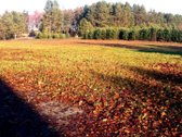 Komercinės Paskirties Žemės Sklypas Su - nuotraukos Nr. 3