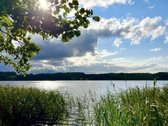 Parduodama sodyba vienkiemyje su 4 sklypais - nuotraukos Nr. 5