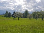 Parduodamas 4,18 Ha Sklypas Su Gyvenamuoju - nuotraukos Nr. 5