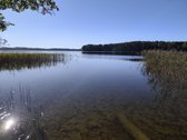 Parduodamas sklypas Molėtuose prie Bebrusų - nuotraukos Nr. 2