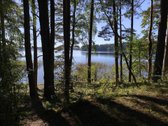 Parduodamas sklypas Molėtuose prie Bebrusų