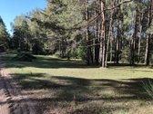 Parduodamas sklypas Molėtuose prie Bebrusų - nuotraukos Nr. 6