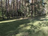 Parduodamas sklypas Molėtuose prie Bebrusų - nuotraukos Nr. 7