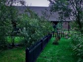 “Kuršių krantas“– tai vieta, kur tradicijos - nuotraukos Nr. 15