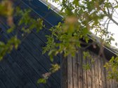 “Kuršių krantas“– tai vieta, kur tradicijos