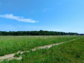 Ar norėtumėte gyventi prie pat miško, naujai - nuotraukos Nr. 9