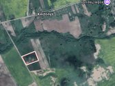 Išnuomojamas 7,8175 ha žemės ūkio sklypas