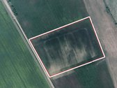 Išnuomojamas 7,8175 ha žemės ūkio sklypas - nuotraukos Nr. 2