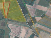 Žemės ūkio paskirties 11,66 ha žemės ūkio