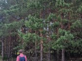 Parduodamas Sklypas Sodybai Aukštadvario - nuotraukos Nr. 5