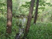 Parduodamas Sklypas Sodybai Aukštadvario - nuotraukos Nr. 8
