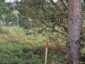 Parduodamas Sklypas Sodybai Aukštadvario - nuotraukos Nr. 9
