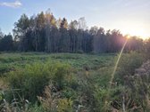 Parduodami du sklypai netoli Tapelių ežero. - nuotraukos Nr. 3