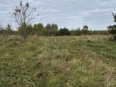 Parduodamas 26 Arų Sklypas Meiluškių - nuotraukos Nr. 2