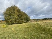 Parduodamas sklypas Druskininkuose prie Nemuno! - nuotraukos Nr. 2