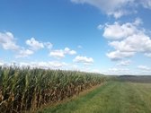 Parduodamas 3,1 ha ariamos žemės sklypas. - nuotraukos Nr. 2
