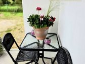 Parduodamas modernus namas Dituvos soduose, - nuotraukos Nr. 9