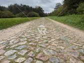 Parduodamas 3,4371 ha žemės sklypas - nuotraukos Nr. 5