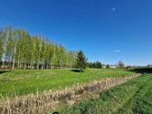 Parduodamas žemės sklypas gražioje ir ramioje - nuotraukos Nr. 4