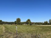 Parduodamas 29,56 a sklypas vienbučių ir - nuotraukos Nr. 3
