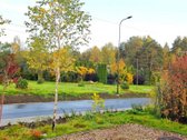 Nuomojamas Naujai Įrengtas 1 Kambario Butas - nuotraukos Nr. 27