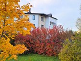 Nuomojamas Naujai Įrengtas 1 Kambario Butas - nuotraukos Nr. 29