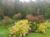 Parduodamas Namas Su 0,7260 ha Sklypu - nuotraukos Nr. 35