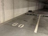 Vilniaus m. sav., Vilniaus m., Paupys