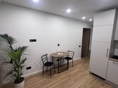 2 naujai įrengti butai - studios Vilniuje,
