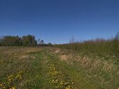 Parduodami Namų Valdos Sklypai Naujai - nuotraukos Nr. 15