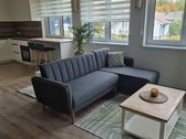 Išnuomojamas jaukus ir stilingas 2 kambarių - nuotraukos Nr. 4