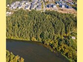 Lazdynėliuose, šalia Bukčių miško ir Neries - nuotraukos Nr. 18