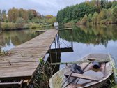 Sodyba atokiau nuo kaimynų, labai ramioje - nuotraukos Nr. 3