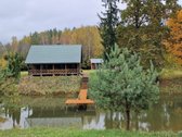 Sodyba atokiau nuo kaimynų, labai ramioje - nuotraukos Nr. 31