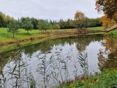 Sodyba atokiau nuo kaimynų, labai ramioje - nuotraukos Nr. 33