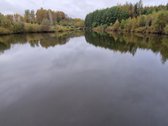 Sodyba atokiau nuo kaimynų, labai ramioje - nuotraukos Nr. 36