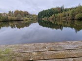 Sodyba atokiau nuo kaimynų, labai ramioje - nuotraukos Nr. 37