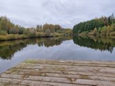 Sodyba atokiau nuo kaimynų, labai ramioje - nuotraukos Nr. 41