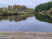 Sodyba atokiau nuo kaimynų, labai ramioje - nuotraukos Nr. 42