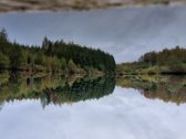 Sodyba atokiau nuo kaimynų, labai ramioje - nuotraukos Nr. 38