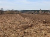 Vaizdinga vieta, du privažiavimai prie sklypo - nuotraukos Nr. 8