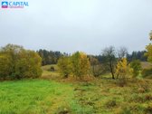 Parduodamas žemės ūkio paskirties žemės - nuotraukos Nr. 5