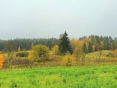 Parduodamas žemės ūkio paskirties žemės - nuotraukos Nr. 6