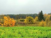 Parduodamas žemės ūkio paskirties žemės - nuotraukos Nr. 7