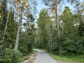 Parduodamas Išskirtinis 18,83 a Sklypas Su - nuotraukos Nr. 22